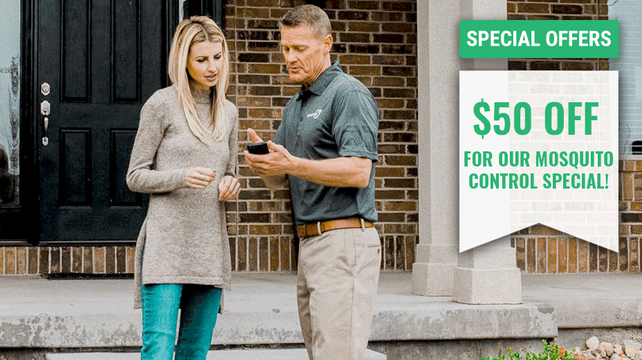 Affordable Pest Control®